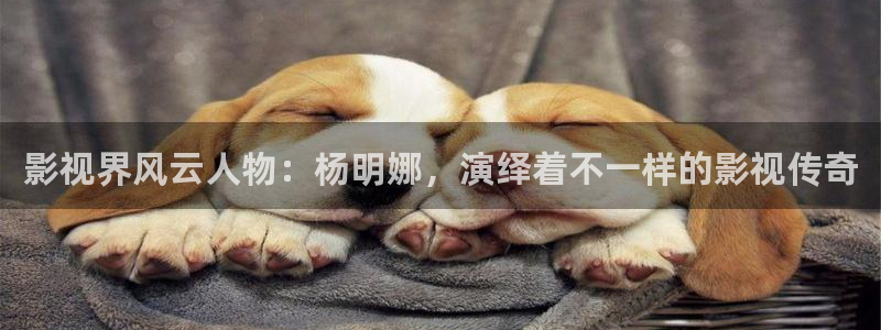 6080新视觉神马影院