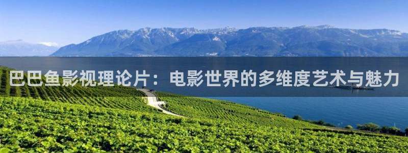 新视觉6080电影电视网