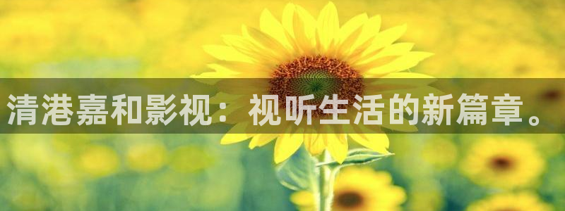 6080新视觉理论看